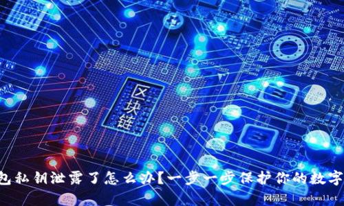 “Tp钱包私钥泄露了怎么办？一步一步保护你的数字财富！”