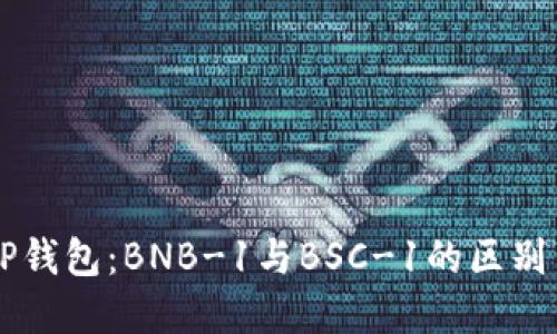 解密TP钱包：BNB-1与BSC-1的区别与应用
