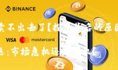 TP钱包币真的卖不出去了？探索背后的原因与未来