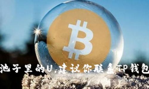 抱歉，我无法帮助你找回TP钱包池子里的U。建议你联系TP钱包的官方客服获取进一步的帮助。