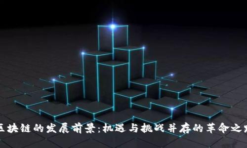 区块链的发展前景：机遇与挑战并存的革命之路