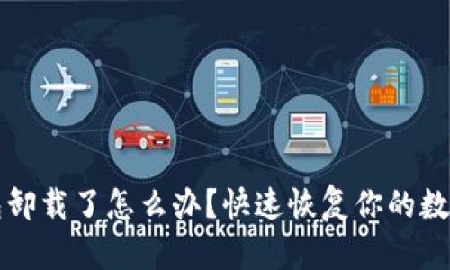 TP钱包卸载了怎么办？快速恢复你的数字资产