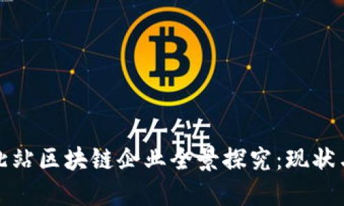 聊城北站区块链企业全景探究：现状与未来