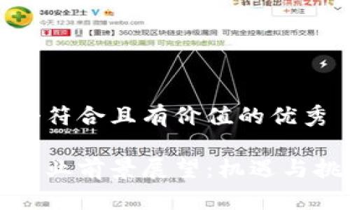 思考一个符合且有价值的优秀

区块链行业前景展望：机遇与挑战并存