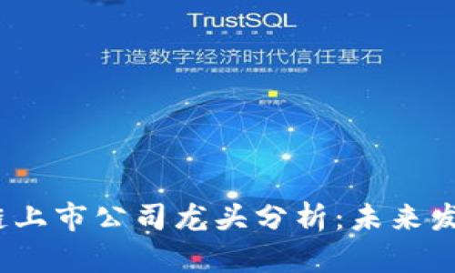 2023年区块链上市公司龙头分析：未来发展与投资前景