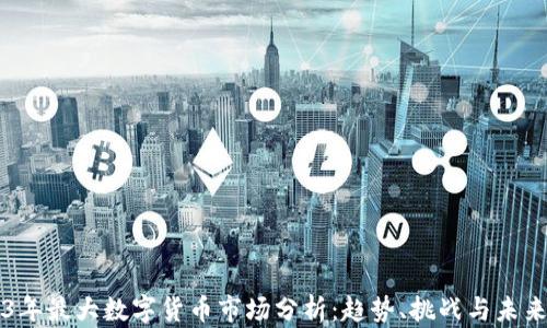 
2023年最大数字货币市场分析：趋势、挑战与未来展望