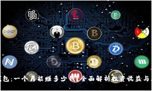 TP钱包：一个月能赚多少钱？全面解析投资收益与风险