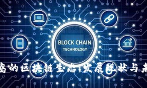 探秘青岛的区块链生态：发展现状与未来趋势
