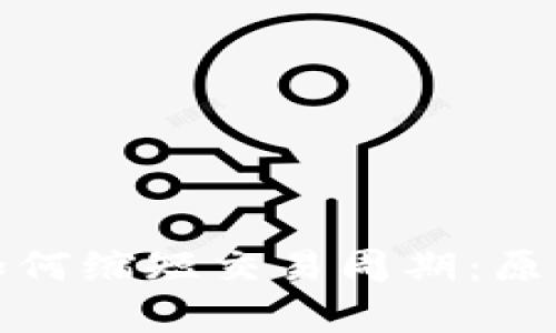 区块链技术如何缩短交易周期：原因解析与影响