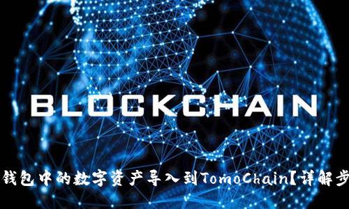 如何将TP钱包中的数字资产导入到TomoChain？详解步骤与技巧